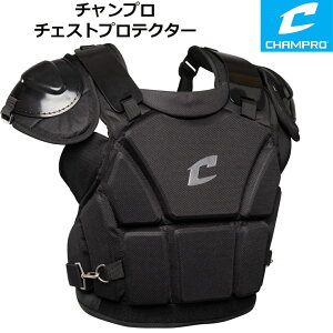 y281000~N[|!撅20lzChampro `v 싅 \tg{[ Rp `FXgveN^[ ubN y XLTCY 16C`/40.64cm