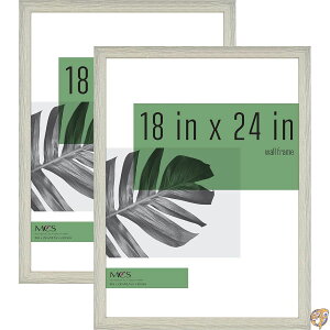 MCS (GV[GX) X^WIM[ t[ O[ ؖڒ 18×24C` 2pbN