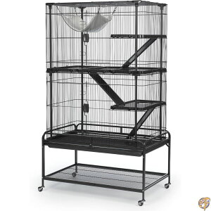 yALLFORWANfsLIFEz vr[ybg P[W P[W fbNX tFbgP[W 484