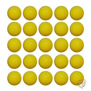 yő2000~N[|25`zi[t Nerf Co 25 Eh lߑւpbN Coe 25 B1589