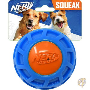 10cm TPR EXO XNC[N{[ u[/IW ^p p ybgpi i[t Nerf Dog