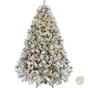 y|Cg2{_tf[z183cm NX}Xc[ vCglH MFCgt ႪςtvCgNX}Xc[ 820{̎} 250̔MCg ܂肽ݎX^