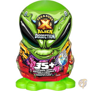 y|Cg3{4&5zgW[X KGCAU 35ȏ̃TvCY 30cm̃GCAU 4 l̃GCA gW[ n^[~o  TREASURE X