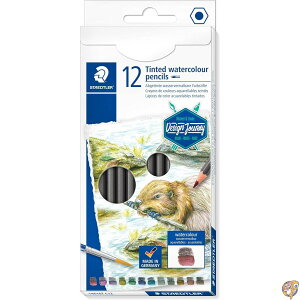 Xebh[(STAEDTLER) Design Journey (ʉM 12{Zbg)