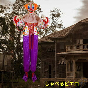 y|Cg3{!42028ԁzsG |̃nEB[fR[V ݂艺 172.7cm g nEB nMO NE fR[V 낵sG ҂ sC | z