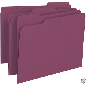 File Folders, 1/3 Cut Top Tab, Letter, Maroon, 100/Box (sAi) 