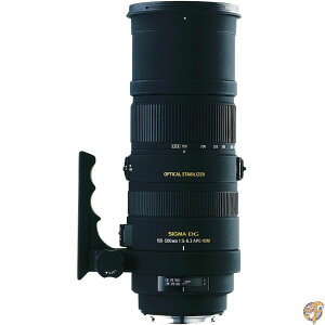 �y�|�C���g3�{!9��10���zSIGMA ���]���Y�[�������Y APO 150-500mm F5-6.3 DG OS HSM �j�R���p �t���T�C�Y�Ή� 737559