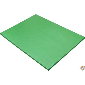 y281000~N[|!撅20lz[Pacon]Pacon 9 x 12 Inches 58Pound Construction Paper, Bright Green, 50