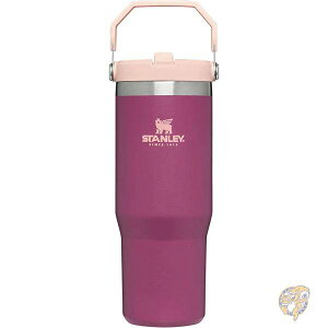 y1000~/555~N[|26ԁzStanley X^[ AEghA ACXt[ ^u[ Xg[t  Yx[ 10-09993-136