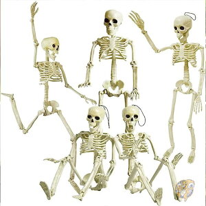 yN[|zMzDINESIL fBlV p[eB[ nEB KCRc fR[V nEB XPg 5 pbN