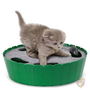 Lp }EXt  ybgpi DI-EU-PW-P0299801 Pawaboo pu[