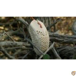 y|Cg3{4&5zFinalmouse Ultralight 2 - Cape Town USB Q[~O}EX