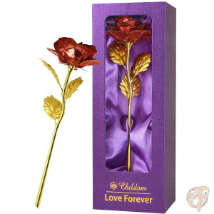 y|Cg3{4&5zChildom Ԃo KN Mtg{bNX v[g Red bh[Y @̓Mtg@a@LO@j@j@zCgf[@ꂳMtg AJA