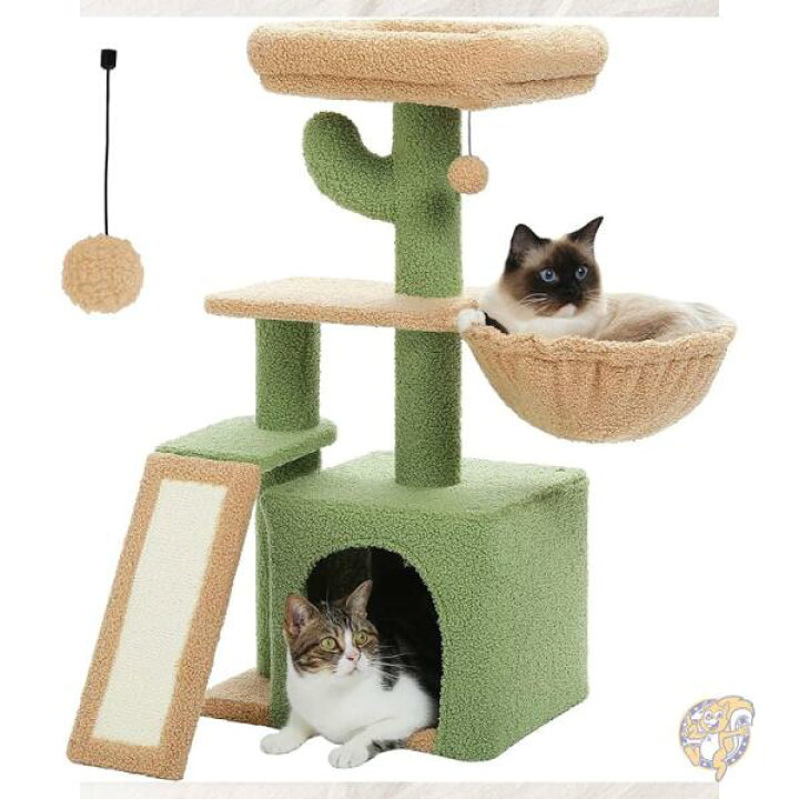 楽天市場】【20日最大4000円クーポン】キャットツリー サボテン 室内猫 