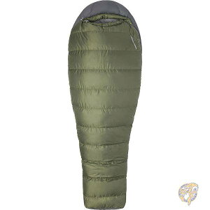 yN[|zMzMARMOT }[bg AEghApi ACAEbh yʃ_E X[sOobO Q {o[O[/X`[IjLX