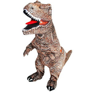 KOOY lp  Ct[^u CŖc RX`[ _Ci\[ bNX nEB   낢 