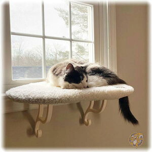 y1000~OFFN[|10/1zg LƂ܂ ^Lp LI LV[g Lxbh 􂦂Jo[t 100537803 K&H Pet Products
