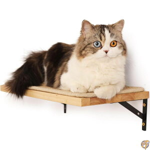 y300~N[|zMzFUKUMARU Floating Wall Shelf with Cat Scratching Mat, 0.79 Inch Thick Solid Rubber Wood Hanging Shelves, 15.7 x 10 (TCU}bg#1)