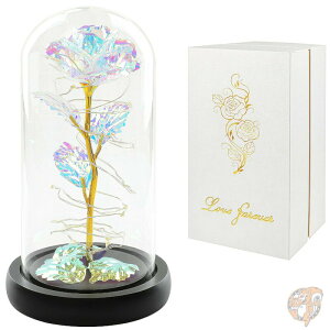 yő2000~N[|25`zChildom Jt[Y KN lH t[ Ԃ̃Mtg@̓Mtg@a@zCgf[Mtg@LOi@LO@̋C@ӂ̋C@Colo