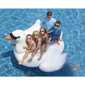 yő2000~N[|25`z @傫TCY@Vс@XCC W{ X ChIt[g Swimline AJA@Ăс@Vс@l@q@v[