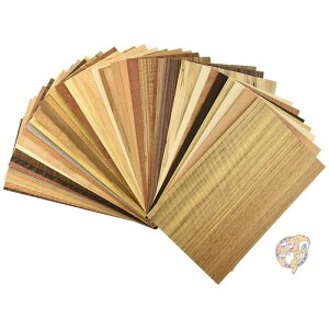 yő2000~N[|26ԁzSauers xj  oGeB[ pbN 20XNGA[ tB[gtH[ DIY {[h sAi 