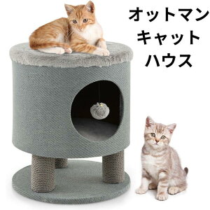 y|Cg2{_tf[zIbg} LbgnEX LnEX Lp ybgnEX O[ ʂ݃{[t L\t@  COƋ PETSITE