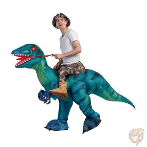 ΐF̋RX`[ GARX lp CŖcރRX`[ O[ nEB Cxg ʔ  ߑ  