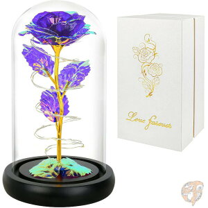 yő2000~N[|25`zKN Childom p[v [Y lH t[  o^C Mtg a v[g ֑蕨 ̓Mtg@ꂳ@j@LO@LO