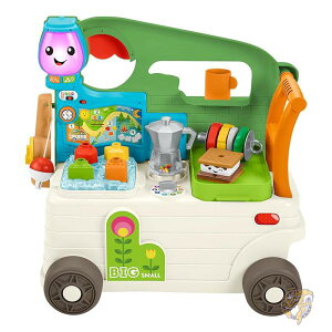 cp LsOJ[ EH[J[ & ANeBreBZ^[ HWG75 Fisher-Price tBbV[vCX