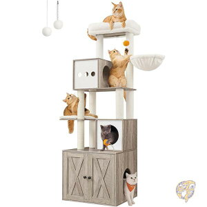 Lbgc[ gC{bNXt Lbg^[ ܂Ƃ A oXPbg 􂦂NbVt AJA FEANDREA