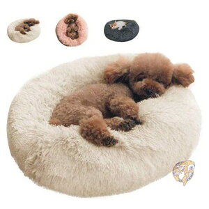 yN[|zMzybgpxbh ^ L NbV tFCNt@[ Beige 