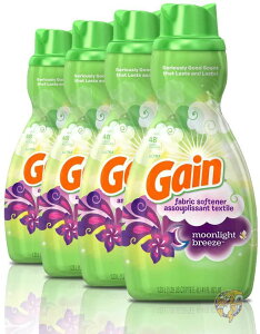 QC t̏_ Gain Air Fryer \tg 41IX 4{ [Cgu[Y 