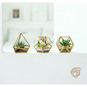 y3Zbgzv^[ fBXvC{bNX A Gold 