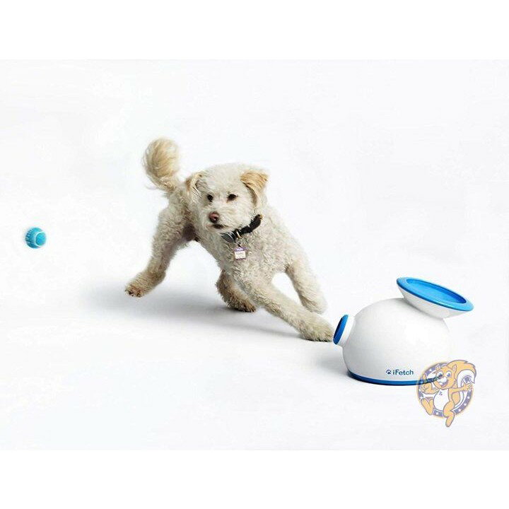 楽天市場】アイフェッチ iFetch インター アクティブ ボールランチャー 