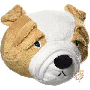 pʂ ZEUS 96315 uhbOfUCTEht 