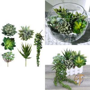 lHA ϗtA 6̐AyZ^[s[XAJAƋ@AJAG 