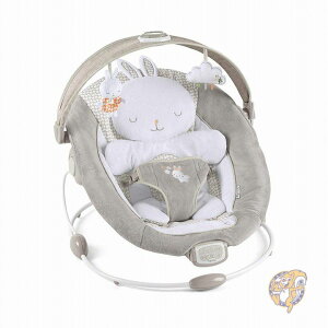 yN[|zMzIngenuity CWFjCeB xr[oET[ Cgt 