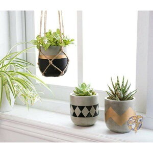 y3Zbgzv^[ Aؔ A Zg a10.2cm 