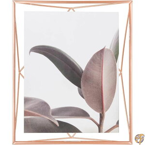 umbra アンブラ フォトフレーム フォトディスプレイ 写真 フォト 写真立て インテリア フレーム 8X10インチ(6つ切り) PRISMA プリズマ 2313018880 コパー