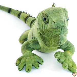 Tiger Tale Toys Igor The Iguanaʂ 26C`