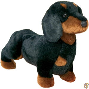 Gutres bourres noires et chien bronzage 14 de teckel 
