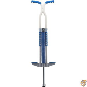 Flybar (tCo[) FB }X^[E|S MASTER Pogo 2040