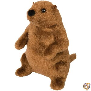 COA ʂ Aj} LbY q  Ki