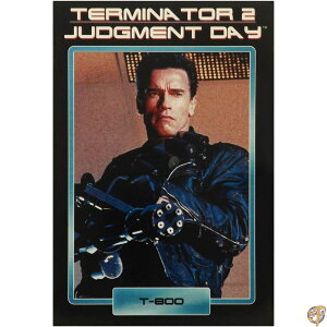 y|Cg3{!42028ԁz^[~l[^[2 lJ 7C`ANVtBMA AeBbg T-800 / NECA TERMINATOR2:JUDGEMENT DAY ULTIMATE ysAŁz