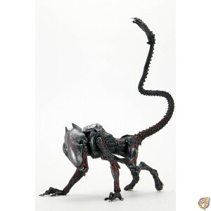 y|Cg3{4&5zlJ GCA 7C` ANVtBMA Pi[ gr[g V[Y iCgN[K[ GCA/NECA 2022 Alien 7inch Action Figure KENNER TRIBUTE NIGHT COUGAR ALIEN f u