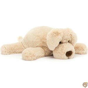 WF[Lbg _[Xg q ʂ 14C` |  NVbNȎqpMtg