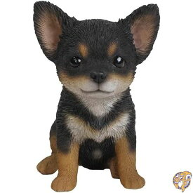 Hi-Line Gift Ltd. チワワ子犬像 庭に ブラック 87771-W