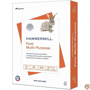 yN[|zMzHammermill 103267 Rs[p500Zbg 1A U[vgECNWFbgvgEt@bNXɑΉ Px96 20|h ^[TCYi8.5×11C`j