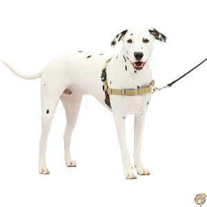 yő2000~N[|26ԁzPetSafe C[W[EH[Nn[lX (ML, tH[uE)