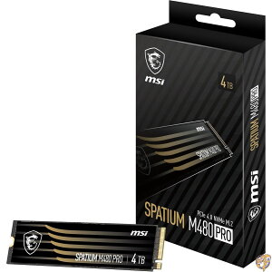 MSI SPATIUM M480 PRO PCIe 4.0 NVMe M.2 4TB SSD Gen4 (SPATIUM 4TB)B